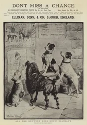 Advertisement, Elliman